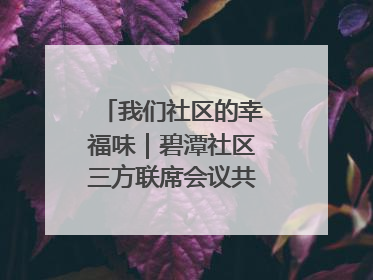 我们社区的幸福味｜碧潭社区三方联席会议共建紫岫幸福家