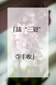 战“三夏” 夺丰收