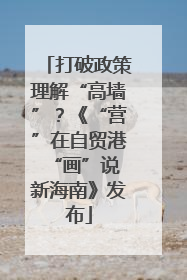 打破政策理解“高墙”？《“营”在自贸港 “画”说新海南》发布