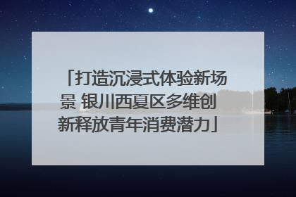 打造沉浸式体验新场景 银川西夏区多维创新释放青年消费潜力