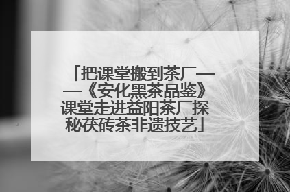把课堂搬到茶厂——《安化黑茶品鉴》课堂走进益阳茶厂探秘茯砖茶非遗技艺