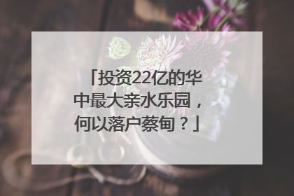 投资22亿的华中最大亲水乐园，何以落户蔡甸？
