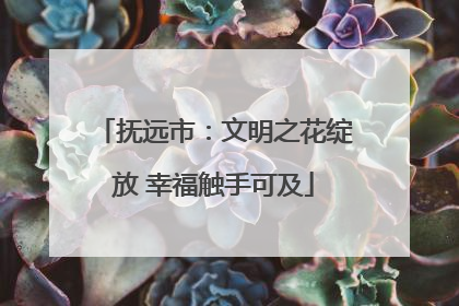 抚远市：文明之花绽放 幸福触手可及