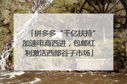 拼多多“千亿扶持”加速电商西进，包邮红利激活西部谷子市场