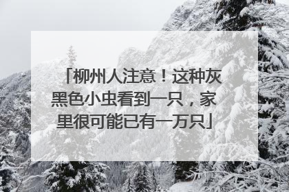 柳州人注意！这种灰黑色小虫看到一只，家里很可能已有一万只