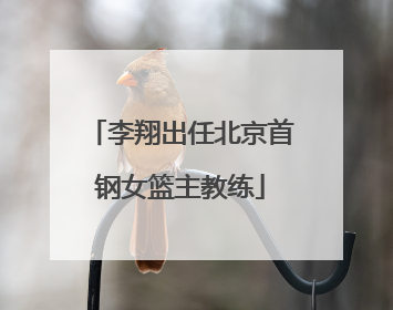 李翔出任北京首钢女篮主教练