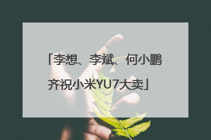 李想、李斌、何小鹏齐祝小米YU7大卖