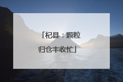杞县：颗粒归仓丰收忙