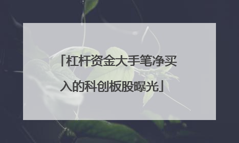 杠杆资金大手笔净买入的科创板股曝光