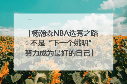 杨瀚森NBA选秀之路：不是“下一个姚明” 努力成为最好的自己
