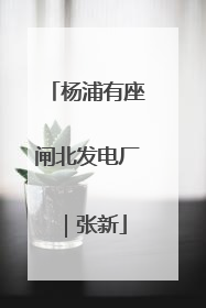 杨浦有座闸北发电厂｜张新