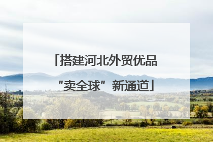 搭建河北外贸优品“卖全球”新通道