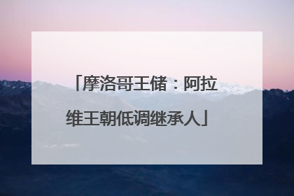 摩洛哥王储：阿拉维王朝低调继承人