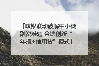 政银联动破解中小微融资难题 金塘创新“年报+信用贷”模式