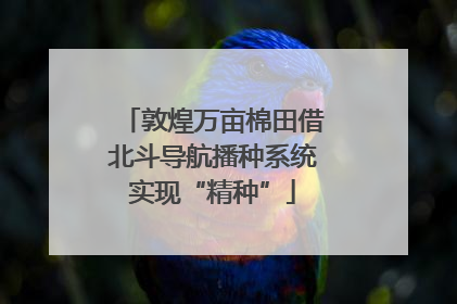 敦煌万亩棉田借北斗导航播种系统实现“精种”