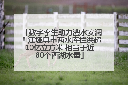 数字孪生助力澧水安澜！江垭皂市两水库拦洪超10亿立方米 相当于近80个西湖水量