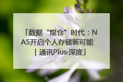 数据“爆仓”时代：NAS开启个人存储新可能｜通讯Plus·深度