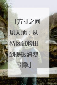 方寸之间见天地：从特区试验田到提振消费引擎