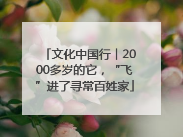 文化中国行丨2000多岁的它，“飞”进了寻常百姓家