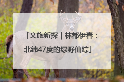 文旅新探｜林都伊春：北纬47度的绿野仙踪