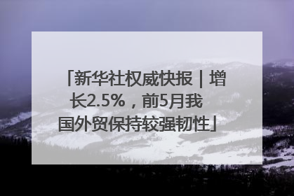 新华社权威快报｜增长2.5%，前5月我国外贸保持较强韧性