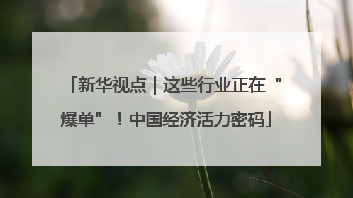 新华视点｜这些行业正在“爆单”！中国经济活力密码