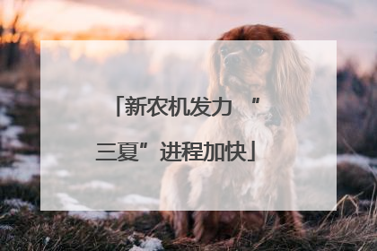 新农机发力 “三夏”进程加快
