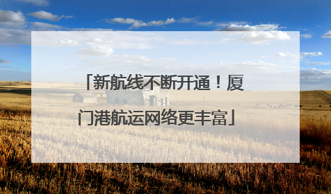 新航线不断开通！厦门港航运网络更丰富