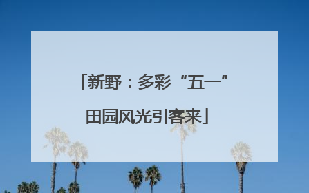 新野：多彩“五一” 田园风光引客来