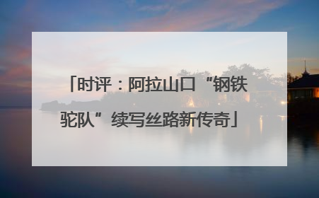 时评：阿拉山口“钢铁驼队”续写丝路新传奇