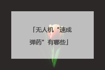 无人机“速成弹药”有哪些