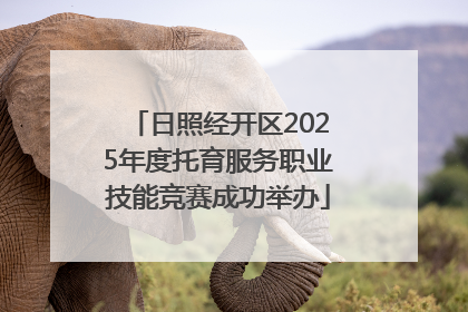 日照经开区2025年度托育服务职业技能竞赛成功举办
