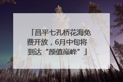 昌平七孔桥花海免费开放，6月中旬将到达“颜值巅峰”