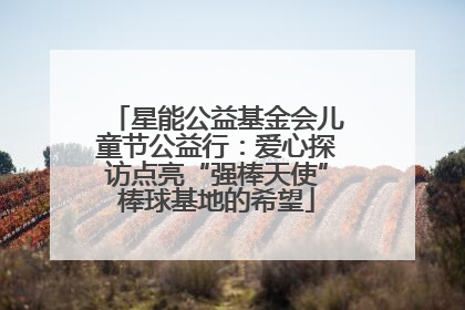星能公益基金会儿童节公益行：爱心探访点亮“强棒天使”棒球基地的希望