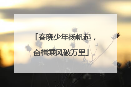 春晓少年扬帆起，奋楫乘风破万里