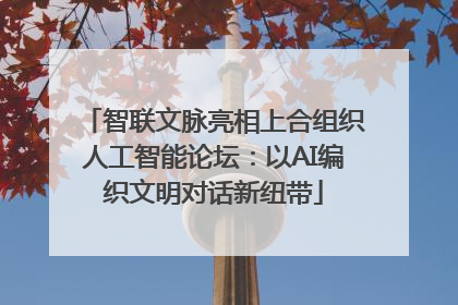智联文脉亮相上合组织人工智能论坛：以AI编织文明对话新纽带