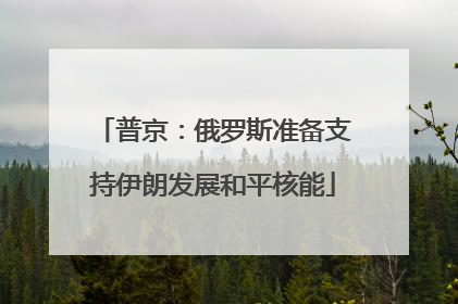 普京：俄罗斯准备支持伊朗发展和平核能