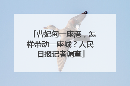 曹妃甸一座港，怎样带动一座城？人民日报记者调查