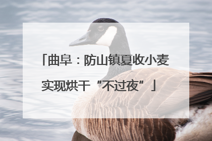曲阜：防山镇夏收小麦实现烘干“不过夜”