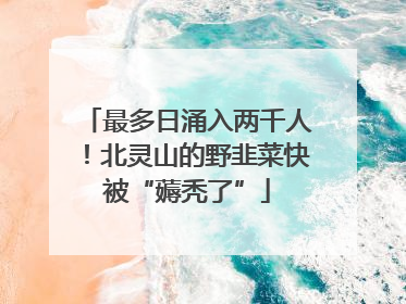 最多日涌入两千人！北灵山的野韭菜快被“薅秃了”