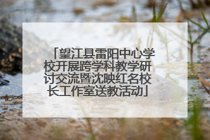 望江县雷阳中心学校开展跨学科教学研讨交流暨沈映红名校长工作室送教活动