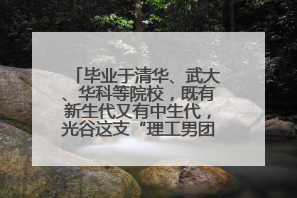 毕业于清华、武大、华科等院校，既有新生代又有中生代，光谷这支“理工男团”为何“出道”？