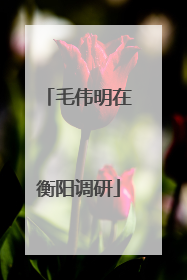 毛伟明在衡阳调研