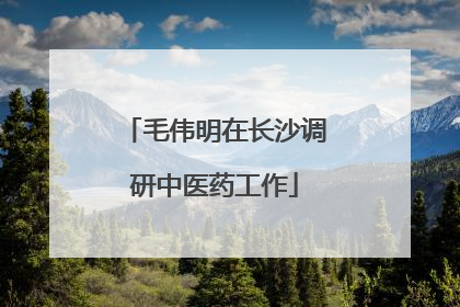 毛伟明在长沙调研中医药工作