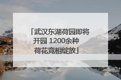 武汉东湖荷园即将开园 1200余种荷花竞相绽放