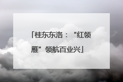 桂东东洛：“红领雁”领航百业兴