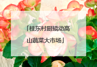 桂东村厨撬动高山蔬菜大市场