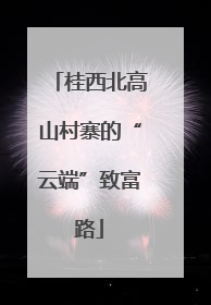 桂西北高山村寨的“云端”致富路