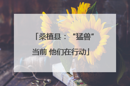 桑植县：“猛兽”当前 他们在行动