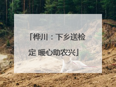 桦川：下乡送检定 暖心助农兴